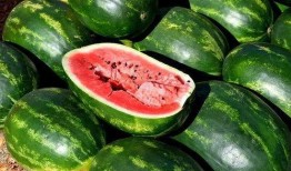 吃瓜娱乐素材下载,揭秘娱乐圈幕后那些事儿